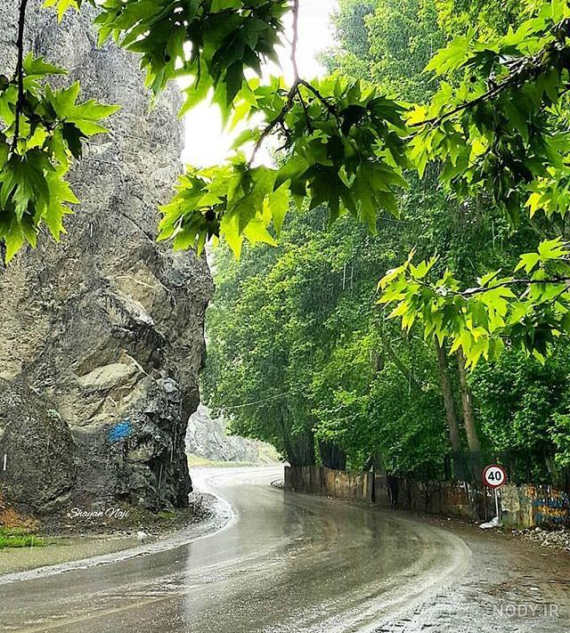 بارش باران پاییزی در مازندران (عکس) بارش باران پاییزی در مازندران (عکس)