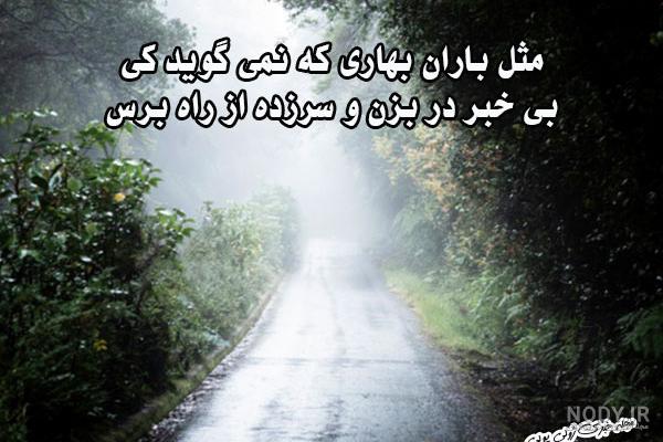 بهار نیوز - تصاویر تماشایی از طبیعت در باران - نسخه قابل چاپ