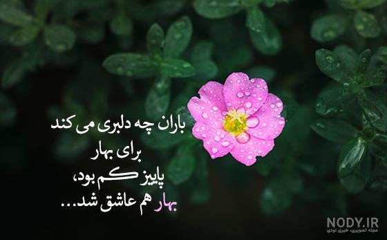 طبیعت بارانی🌱 طبیعت بارانی🌱