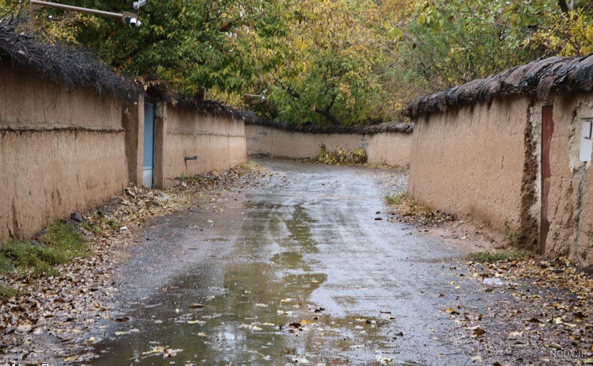 عکس از طبیعت بارانی شیراز عکس از طبیعت بارانی شیراز