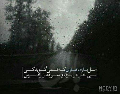 عکس باران در بهار