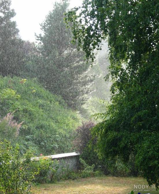 عکس زیبای باران بهاری