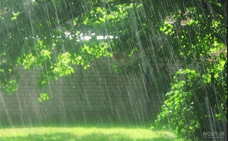 عکس/باران پاییزی در جنگل های هیرکانی عکس/باران پاییزی در جنگل های هیرکانی