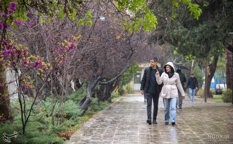 فرارو | (تصاویر) بارش باران بهاری در شیراز فرارو | (تصاویر) بارش باران بهاری در شیراز