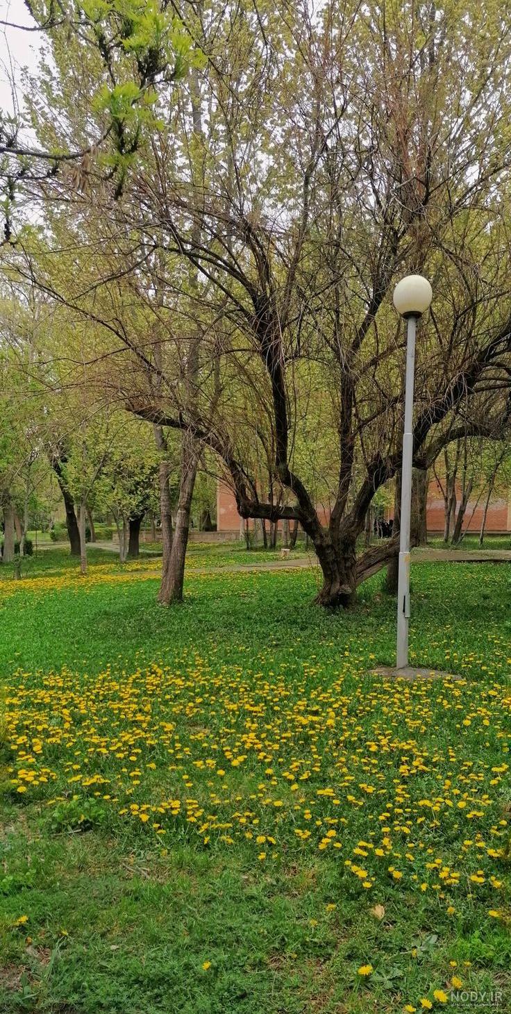 متن درباره بارون | دلنوشته در مورد باران عاشقانه، کوتاه و زیبا متن درباره بارون | دلنوشته در مورد باران عاشقانه، کوتاه و زیبا
