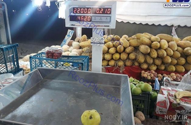 وکتور گلابی کارتونی کیوت خوش رنگ 1 | وکتورلو وکتور گلابی کارتونی کیوت خوش رنگ 1 | وکتورلو