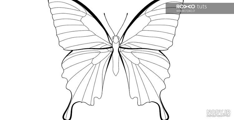 53 عکس پروانه🦋دانلود عکس پروانه واقعی و زیبا✔️چاپ✔️ادیت 53 عکس پروانه🦋دانلود عکس پروانه واقعی و زیبا✔️چاپ✔️ادیت
