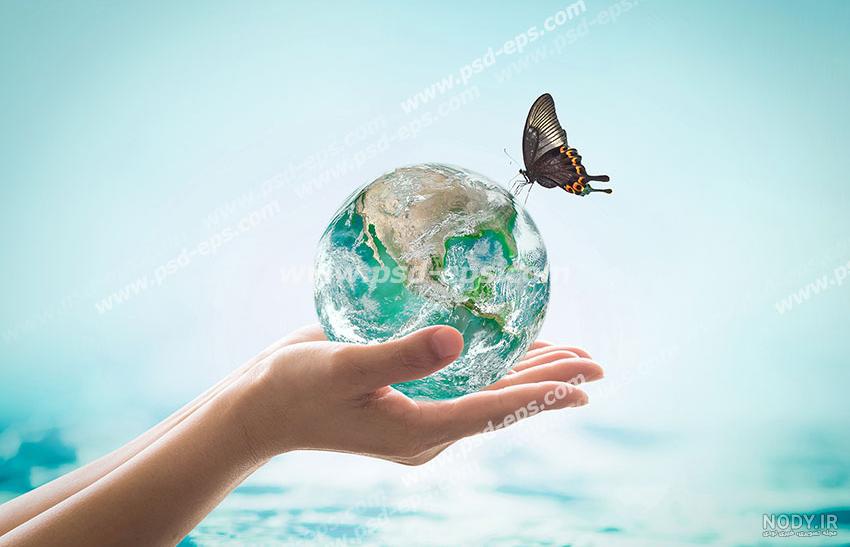 53 عکس پروانه🦋دانلود عکس پروانه واقعی و زیبا✔️چاپ✔️ادیت