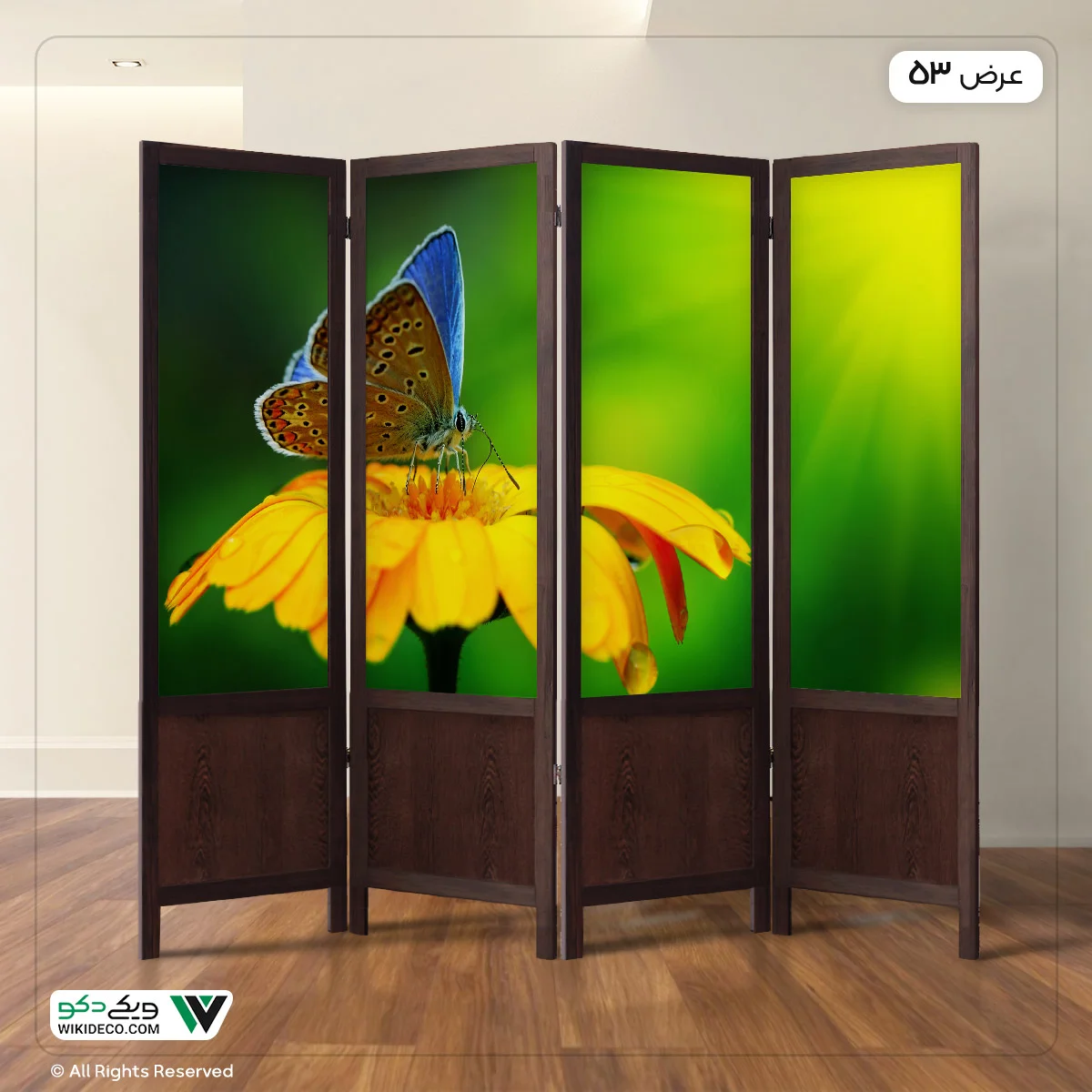 53 عکس پروانه🦋دانلود عکس پروانه واقعی و زیبا✔️چاپ✔️ادیت 53 عکس پروانه🦋دانلود عکس پروانه واقعی و زیبا✔️چاپ✔️ادیت