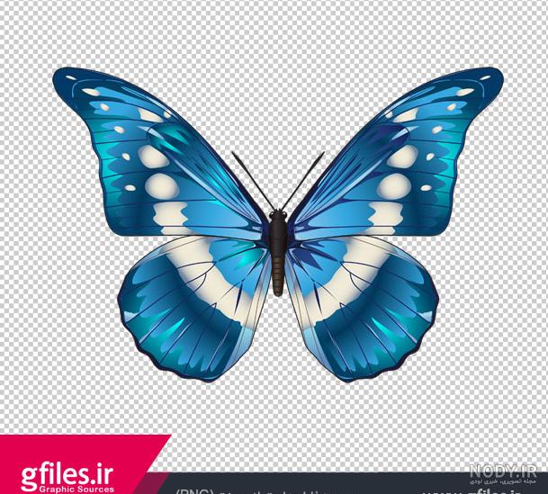 53 عکس پروانه🦋دانلود عکس پروانه واقعی و زیبا✔️چاپ✔️ادیت