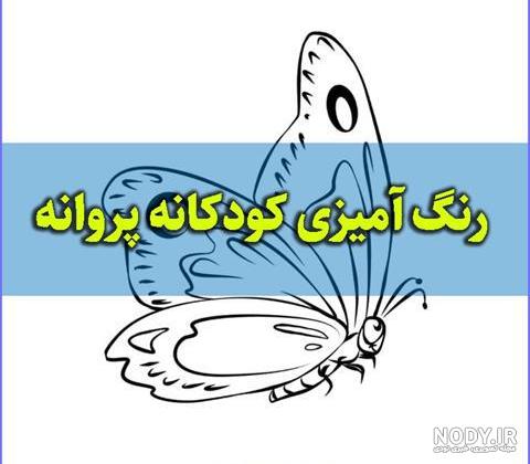 دانلود عکس پروانه زیبا واقعی دانلود عکس پروانه زیبا واقعی