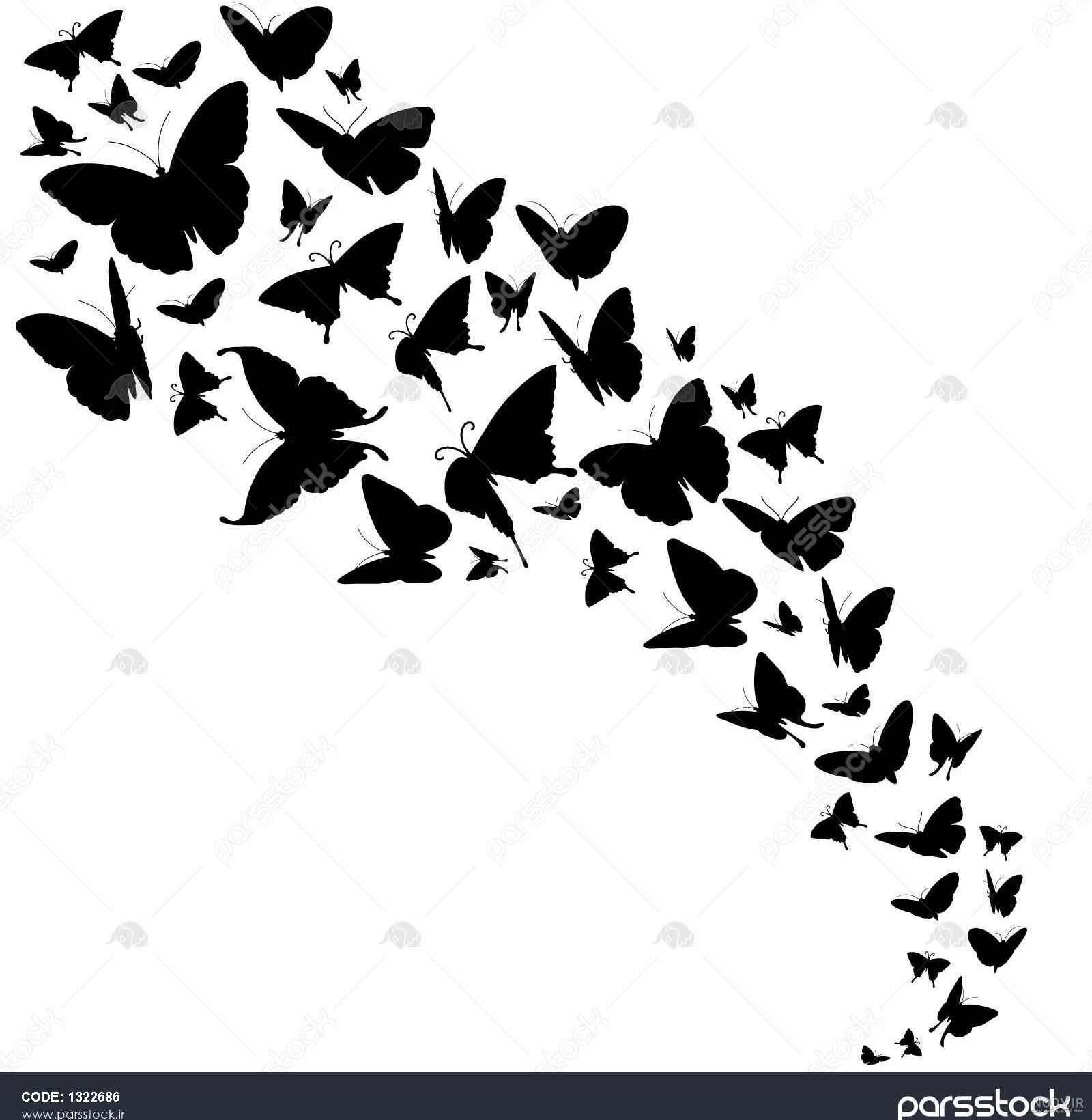 عکس سیاه پروانه - دانلود رایگان - پارس پی ان جی - PARSPNG عکس سیاه پروانه - دانلود رایگان - پارس پی ان جی - PARSPNG