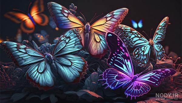 عکس ها و تصاویر زیبا از پروانه ها | عکس پروانه برای پروفایل عکس ها و تصاویر زیبا از پروانه ها | عکس پروانه برای پروفایل