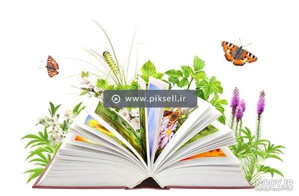 عکس پروانه آبی روی کتاب