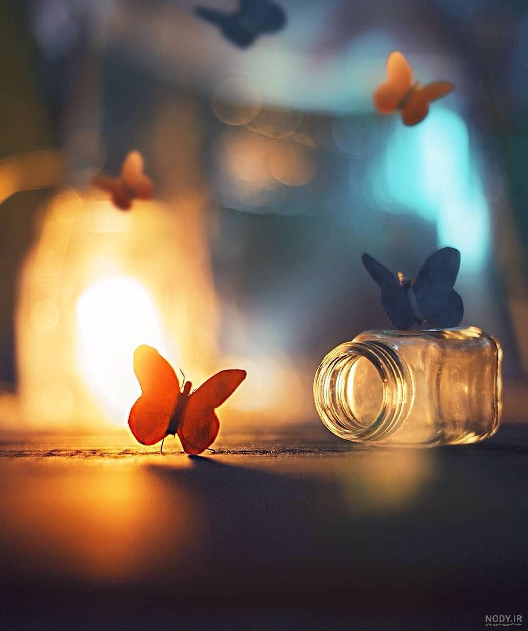 عکس پروانه برای پروفایل واتساپ - عکس نودی عکس پروانه برای پروفایل واتساپ - عکس نودی