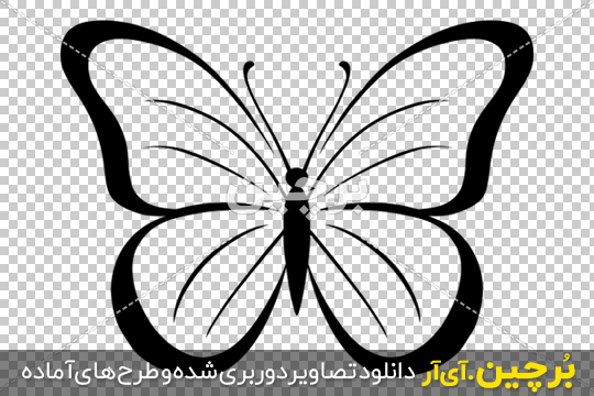 عکس پروانه برای چاپ سیاه سفید