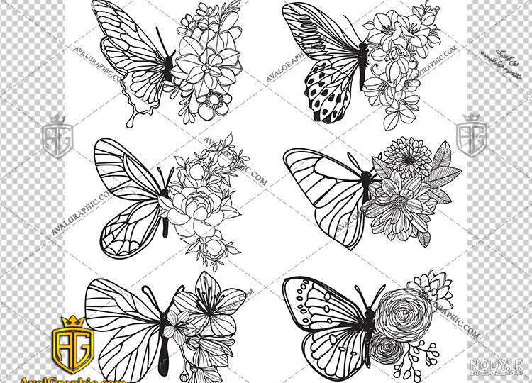 عکس پروانه سیاه و سفید برای پروفایل