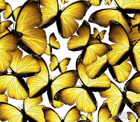 مشرق نیوز - عکس/ غنچه و پروانه مشرق نیوز - عکس/ غنچه و پروانه