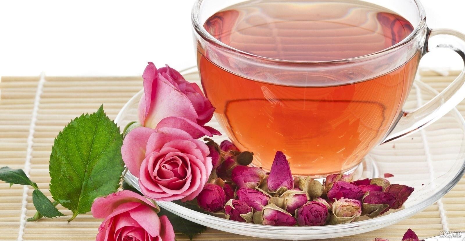 از خواص برگ سنا و قرص سنا چه می دانید؟! از خواص برگ سنا و قرص سنا چه می دانید؟!