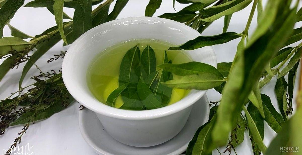 عکس برگ سنا - عکس نودی عکس برگ سنا - عکس نودی