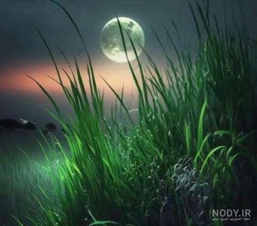 عکس سنا برزنجه خواننده کورد خوش سیما با کیفیت بالا