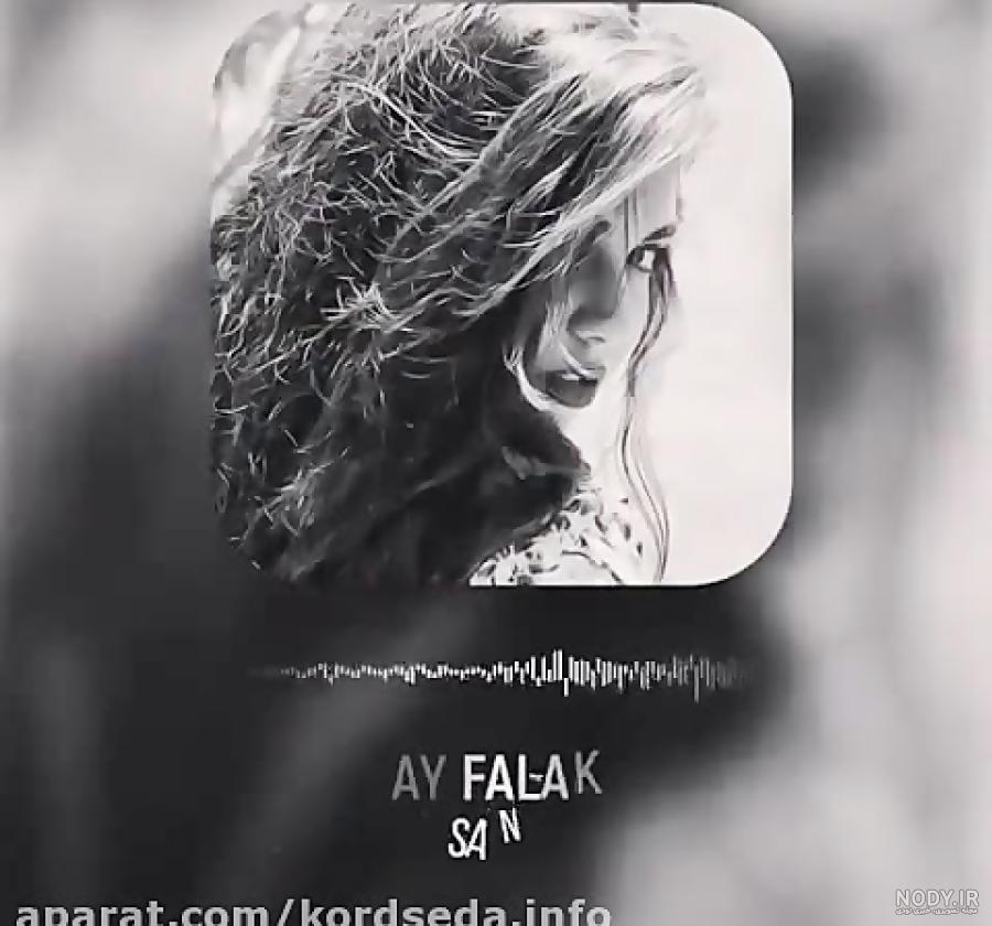 عکس سنا برزنجه و همسرش