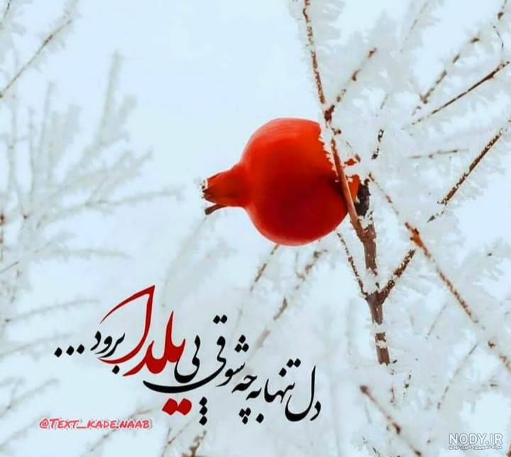 ۲۰۰ عکس و عکس نوشته پروفایل شب یلدا