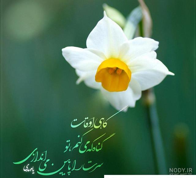 حدیث زندگی -حدیث 313 | حدیث تصویری حدیث زندگی -حدیث 313 | حدیث تصویری