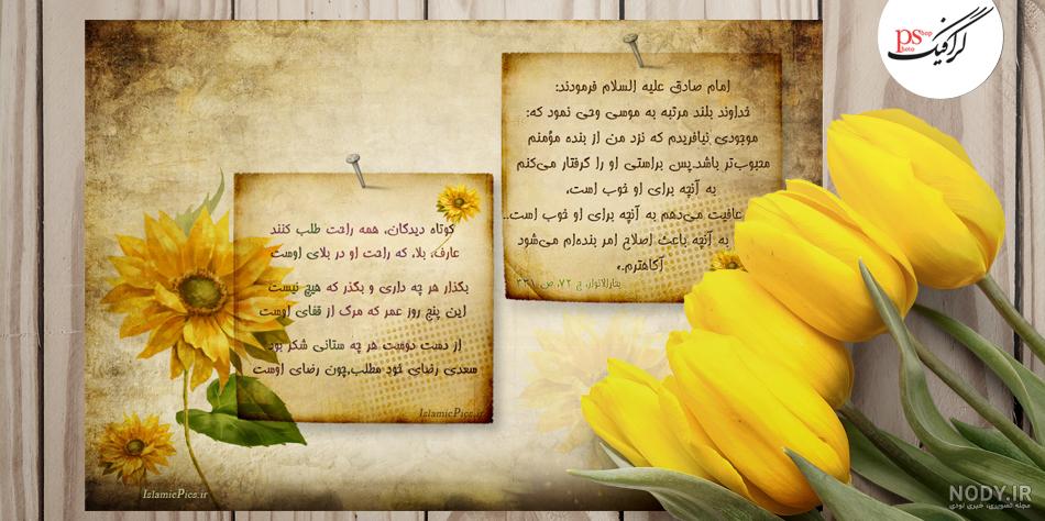 عکس گل ها ؛ گل‌ هایی که داستان می‌گویند : روایت عشق، زیبایی و زندگی