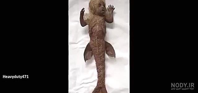 عکس خفن عکس دریای خلیج فارس از بالا