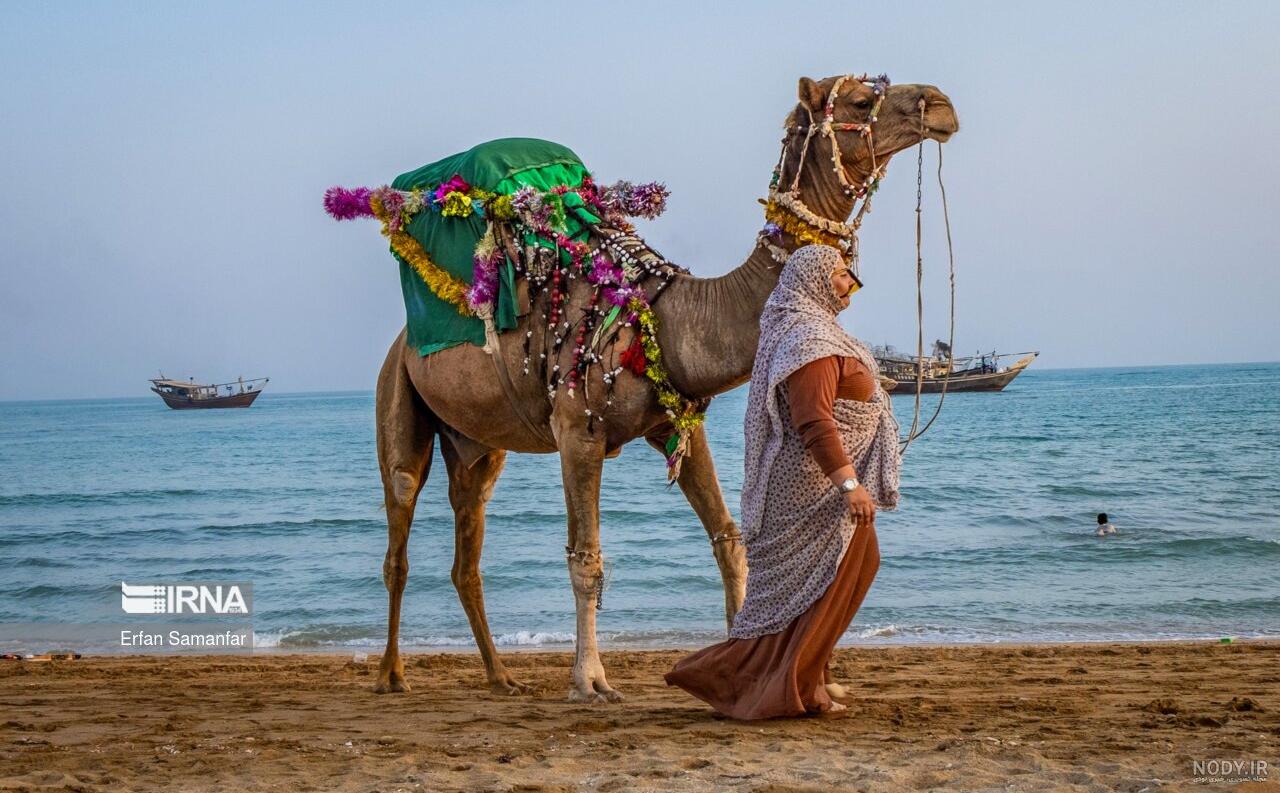 عکس خلیج فارس از نزدیک