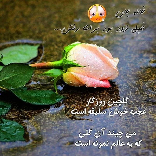 عکس تسلیت برای دختر خاله عکس تسلیت برای دختر خاله