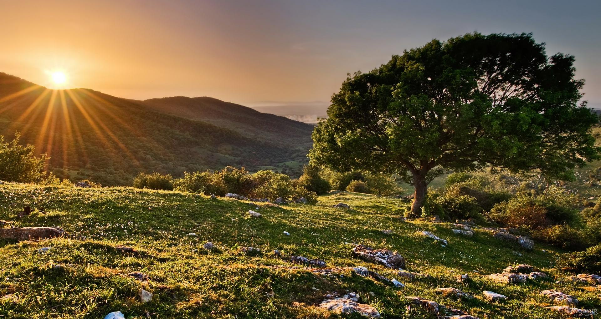 عکس طبیعت و خورشید