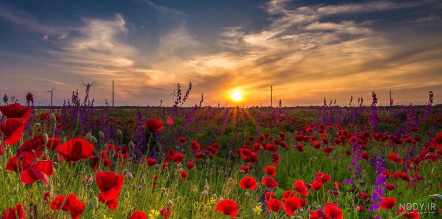 عکس هایی از طلوع خورشید - عکس نودی عکس هایی از طلوع خورشید - عکس نودی