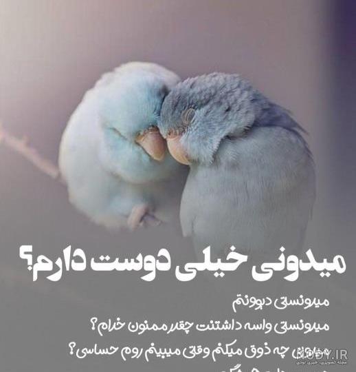 کلیپ عاشقانه شاد _ کلیپ نوشته دار _ کلیپ همسرم دوستت دارم _ عاشقانه شاد کلیپ عاشقانه شاد _ کلیپ نوشته دار _ کلیپ همسرم دوستت دارم _ عاشقانه شاد
