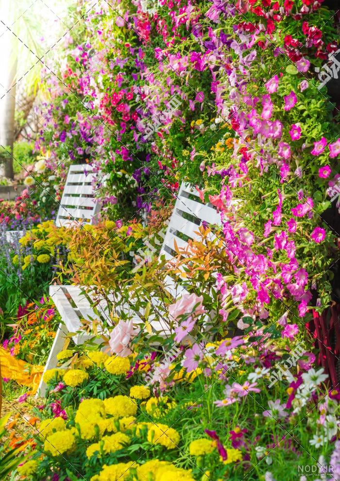 🥰❤ عکس خونه 🥰❤‎ | ‎عکس های فانتزی رویایی از طبیعت بهاری 😍🤗 لطفا برای  دیدن همه عکس ها ورق بزنین 😊❤ . . . #عکس_فانتزی #فانتزی #عکس_هنری #عاشقانه  #عشق #گل...‎ | Instagram