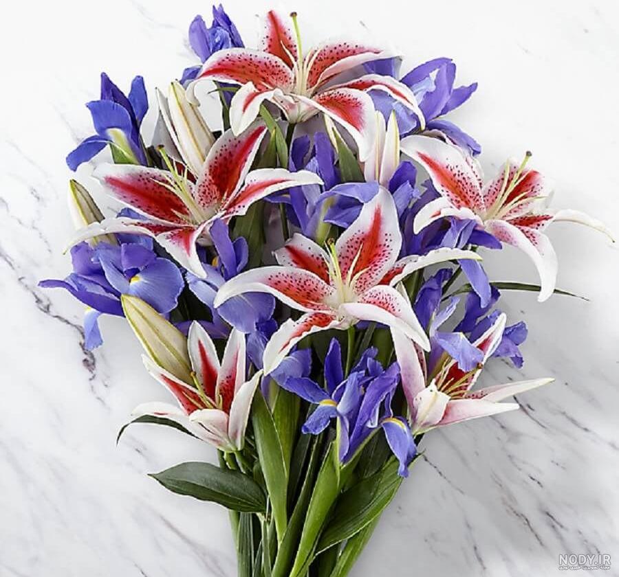 135 عکس گل🌺دانلود مجموعه عکس گل زیبا جدید با کیفیت بالا