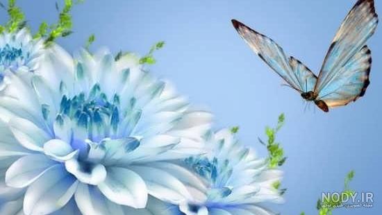 عکس رویایی گل - عکس نودی عکس رویایی گل - عکس نودی