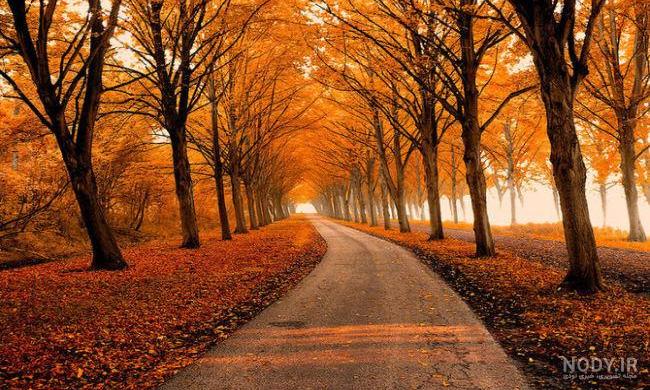 عکس های زیبای طبیعت رویایی - عکس نودی