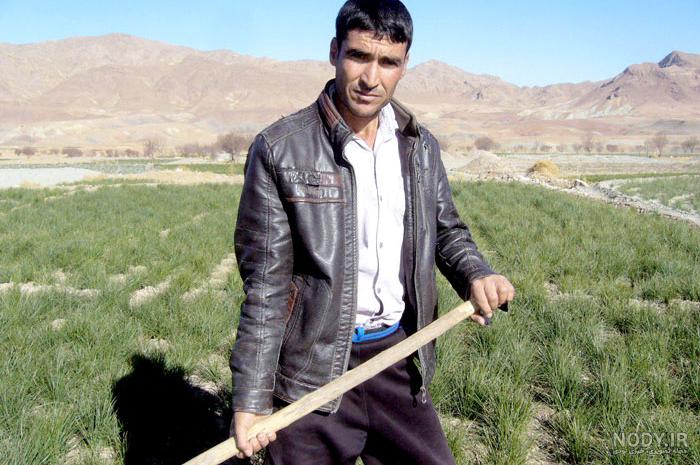 عکس شهید رضا زارعی - عکس نودی عکس شهید رضا زارعی - عکس نودی