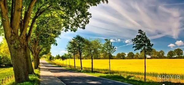 عکس طبیعت رویایی بهار