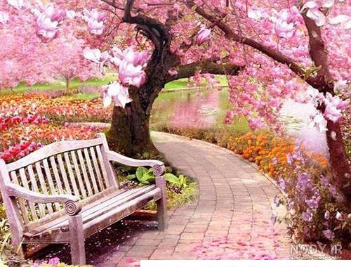 عکس طبیعت رویایی متحرک