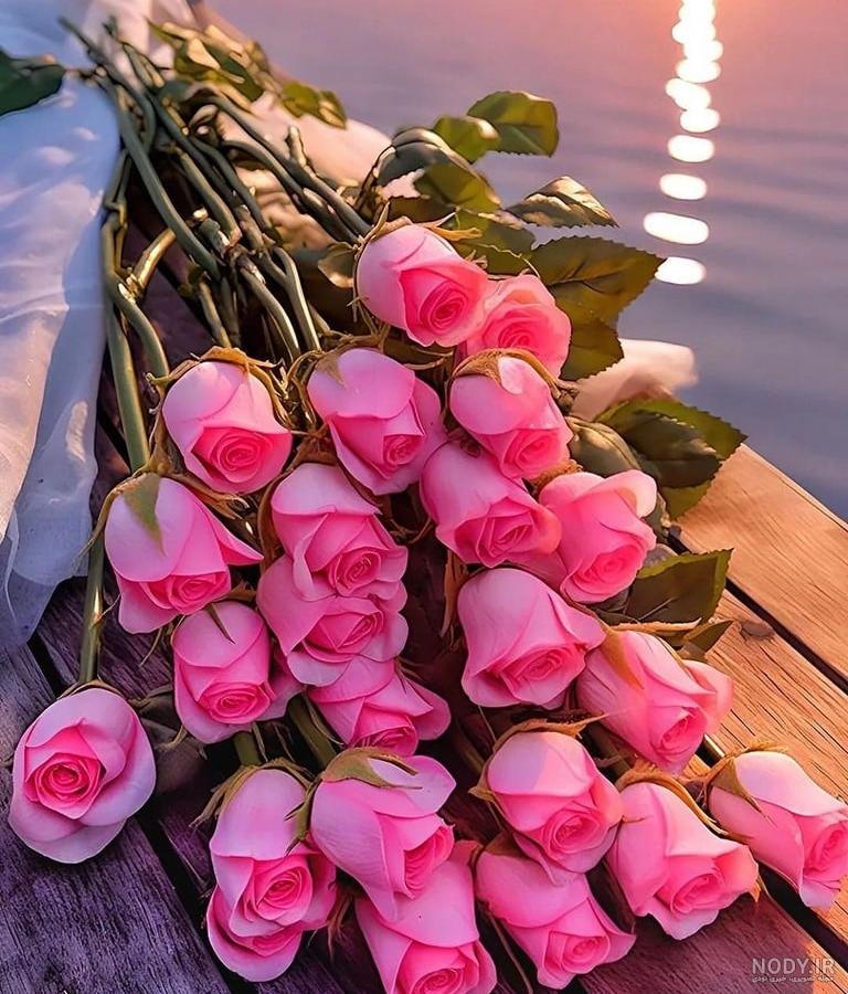 عکس گل رویای