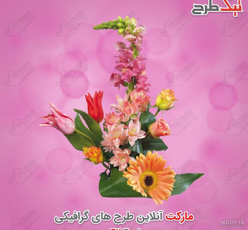عکس گل رویایی