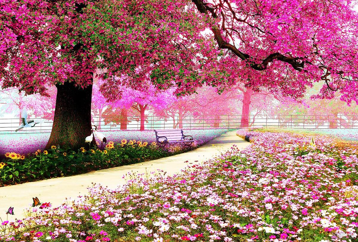 عکس گل رویایی برای پروفایل عکس گل رویایی برای پروفایل