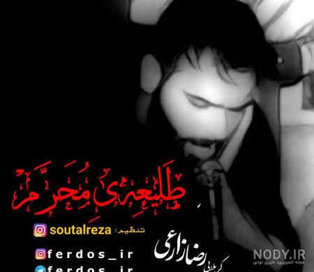 مراسم استقبال از پیکرشهید رضا زارعی- عکس استانها تسنیم | Tasnim مراسم استقبال از پیکرشهید رضا زارعی- عکس استانها تسنیم | Tasnim