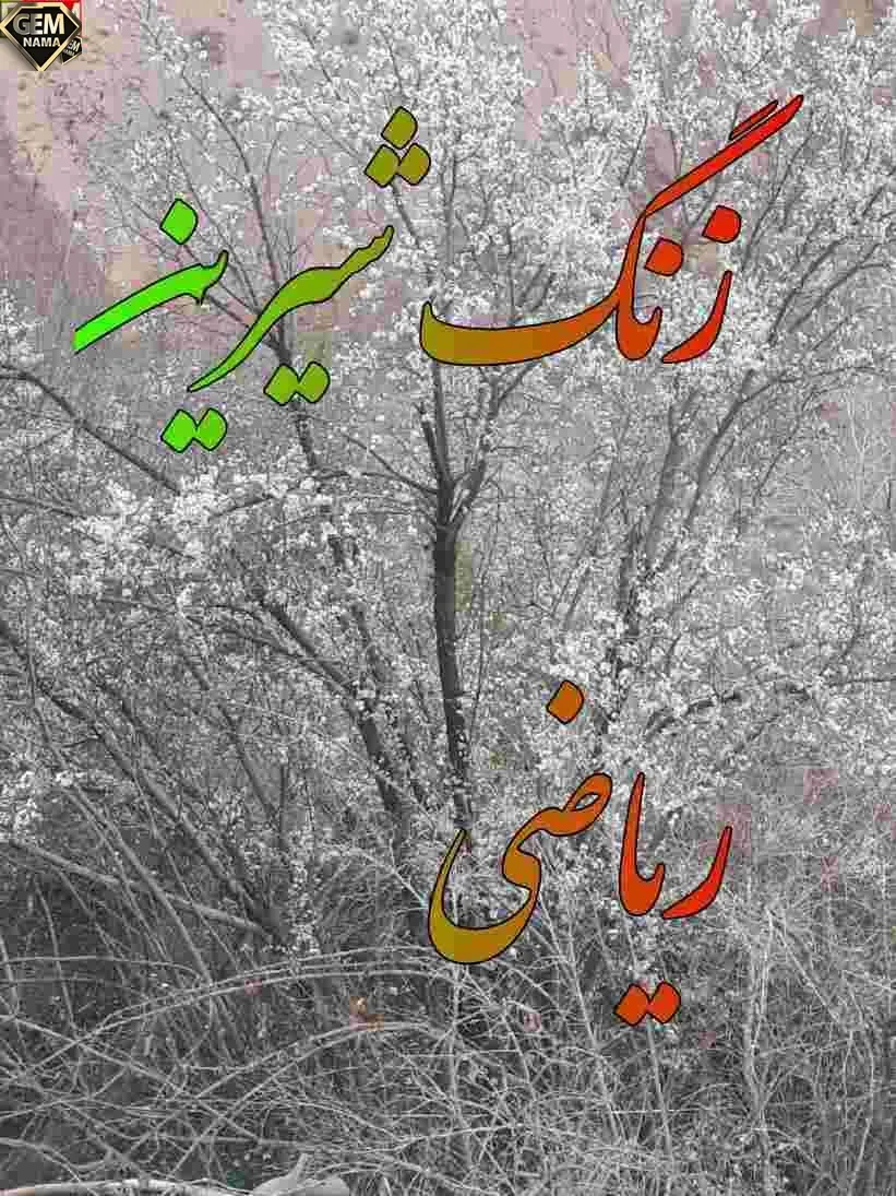 عکس شیرین ریاضی - عکس نودی عکس شیرین ریاضی - عکس نودی