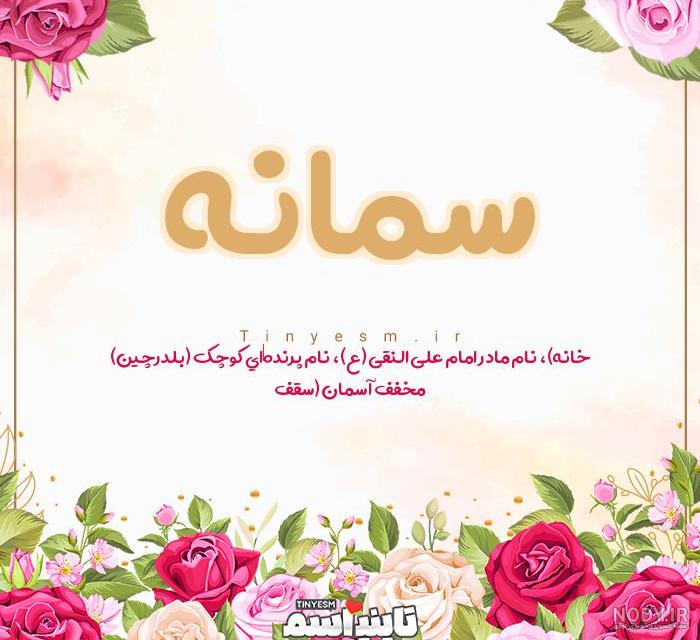 عکسهای جشن عروسی سمانه پاکدل + فیلم عروسی