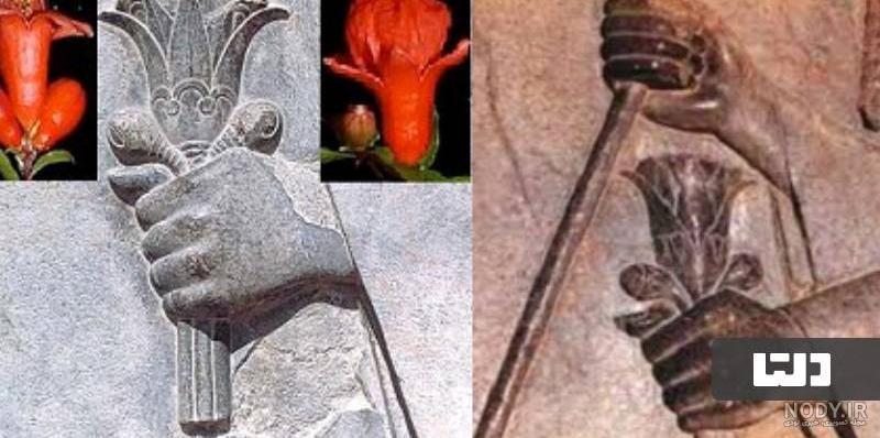 شکوفه‌های انار در گلوگاه+تصاویر - تصاوير بزرگ | بلاغ نیوز