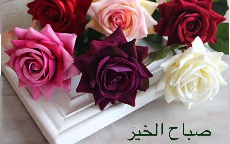 صباح الخیر - عکس ویسگون